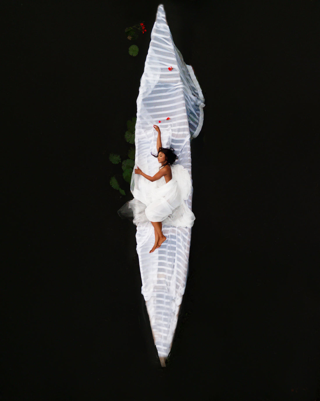 METAMORPHOSIS