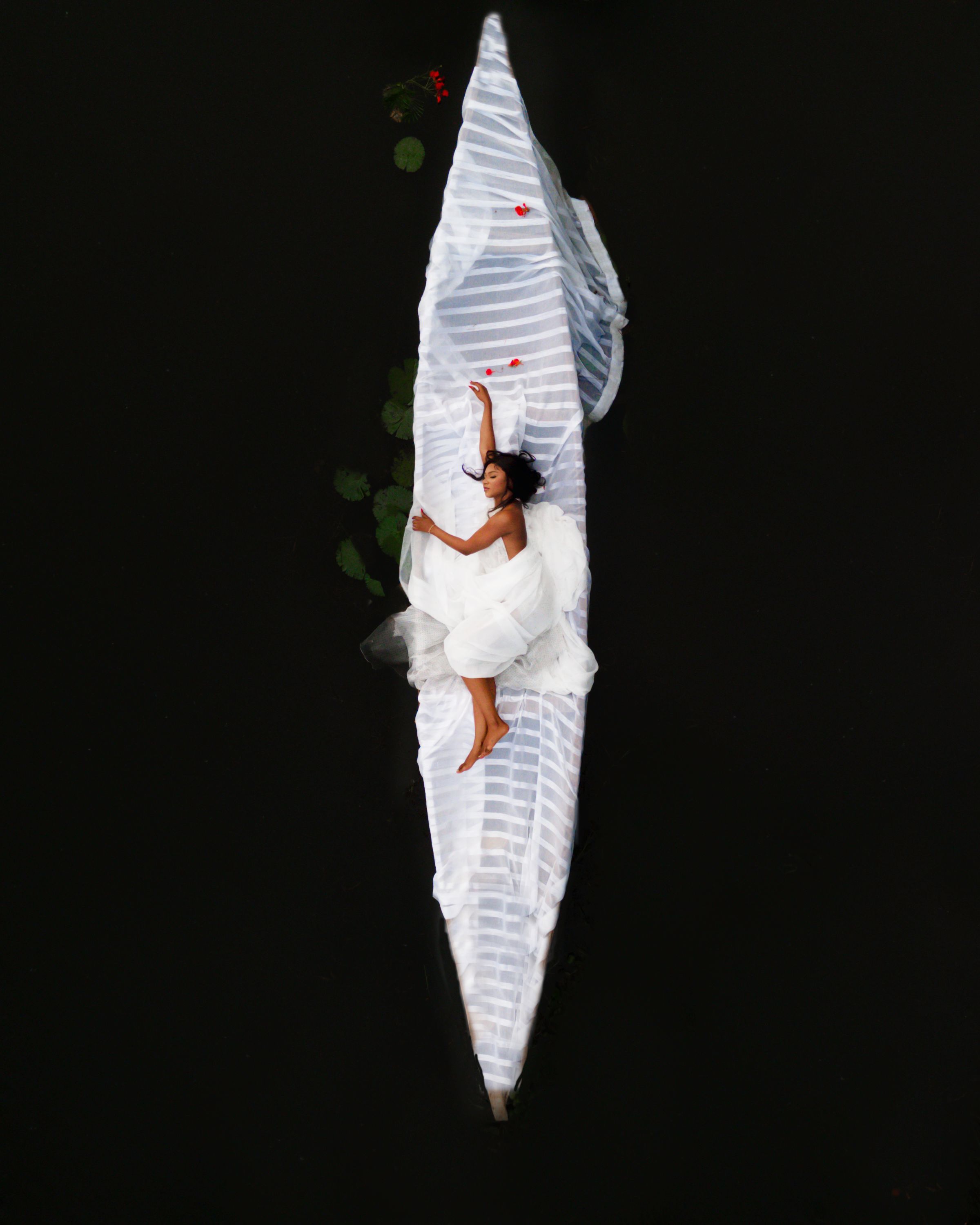 METAMORPHOSIS